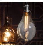 Big Bulb Pendant Light